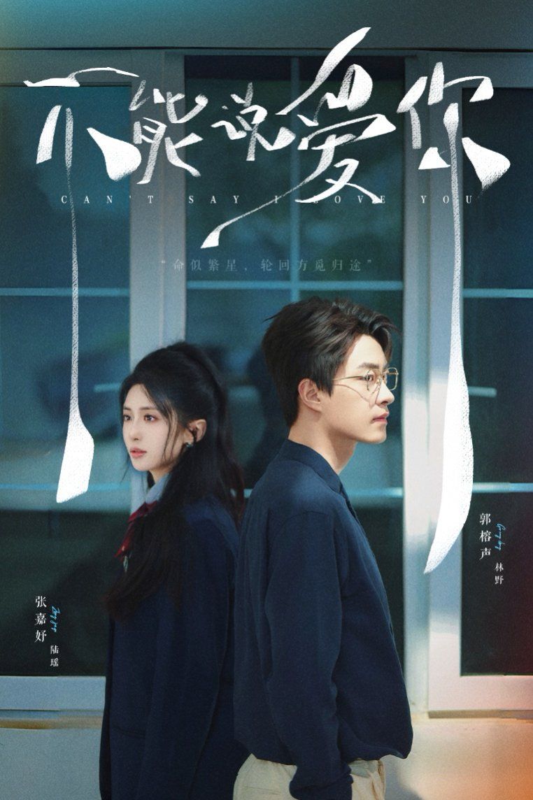 不能說愛你(全集)