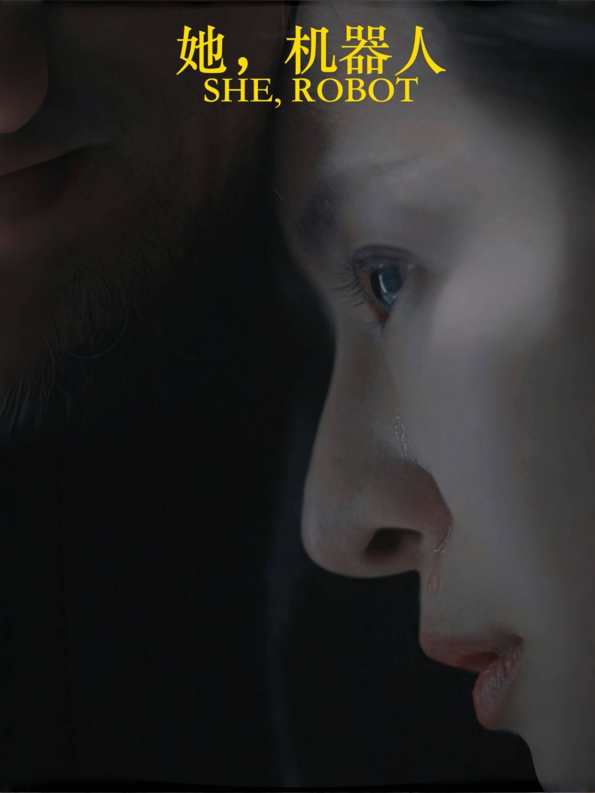 她，機器人（她機器人）(全集)