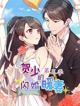 賀少的閃婚暖妻第三季