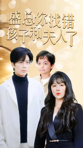 盛總你找錯(cuò)孩子和夫人了(全集)