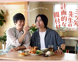 三矢老師的計劃式投喂。