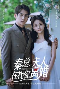 秦總，夫人在找你離婚(全集)