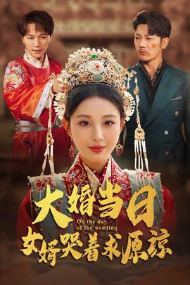 大婚當(dāng)日，女婿哭著求原諒(全集)