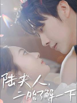 陸夫人，二胎了解一下(全集)