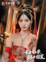 專業(yè)和親，副業(yè)諧星(全集)