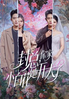 封總，你家小白花她開大了(全集)