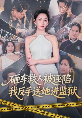 砸車救人被誣陷，我反手送她進監(jiān)獄(全集)