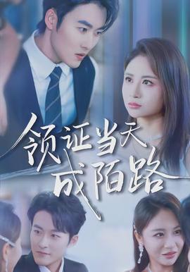 領證當天成陌路(全集)